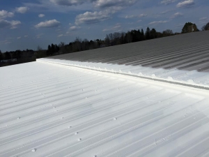 Metal Roof Restoration - Campbellsville, KY 1